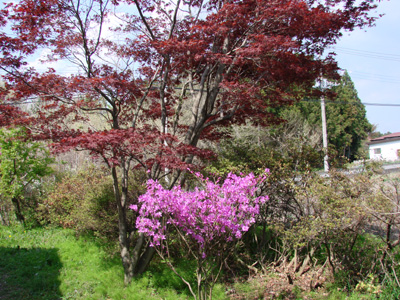 DSC00947.jpg